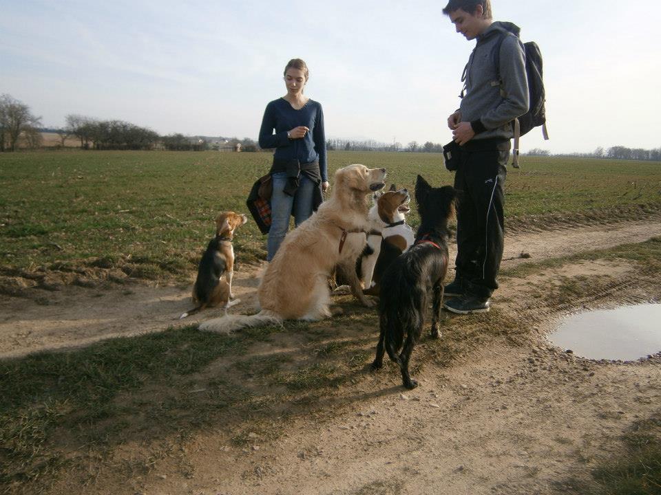 éducation et dressage de chiens Savoie